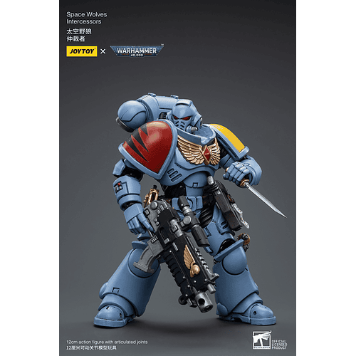 Space Wolves Intercessors 6