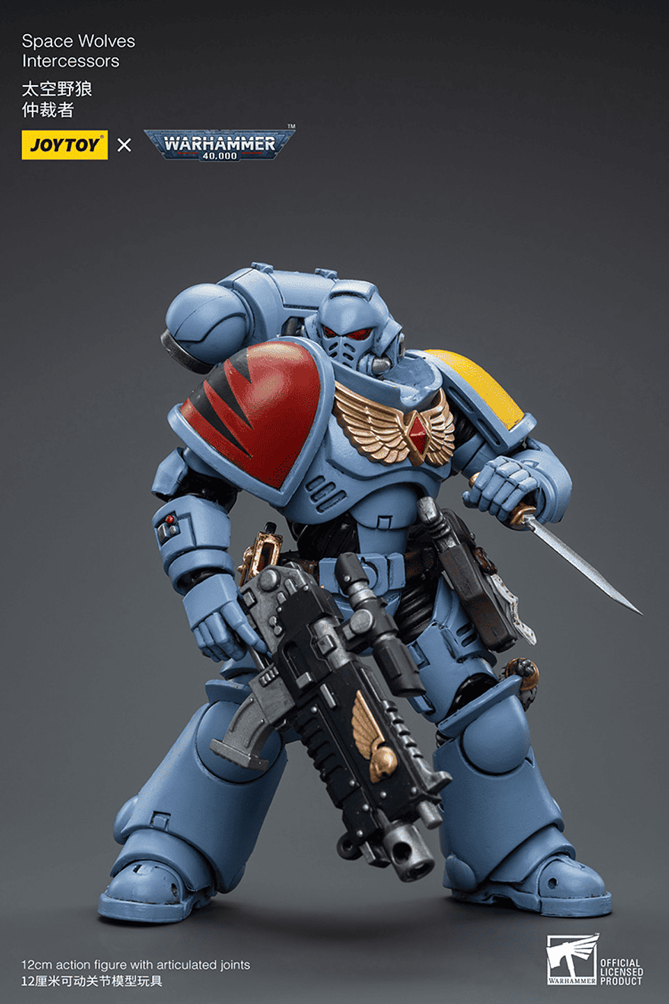 Space Wolves Intercessors 6
