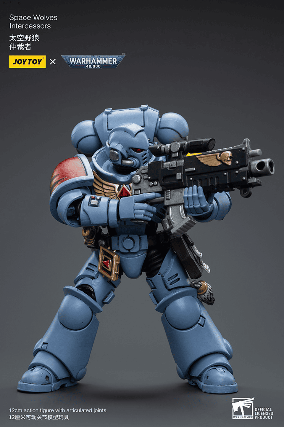 Space Wolves Intercessors 7