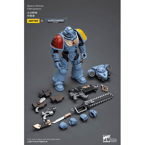 Space Wolves Intercessors 9