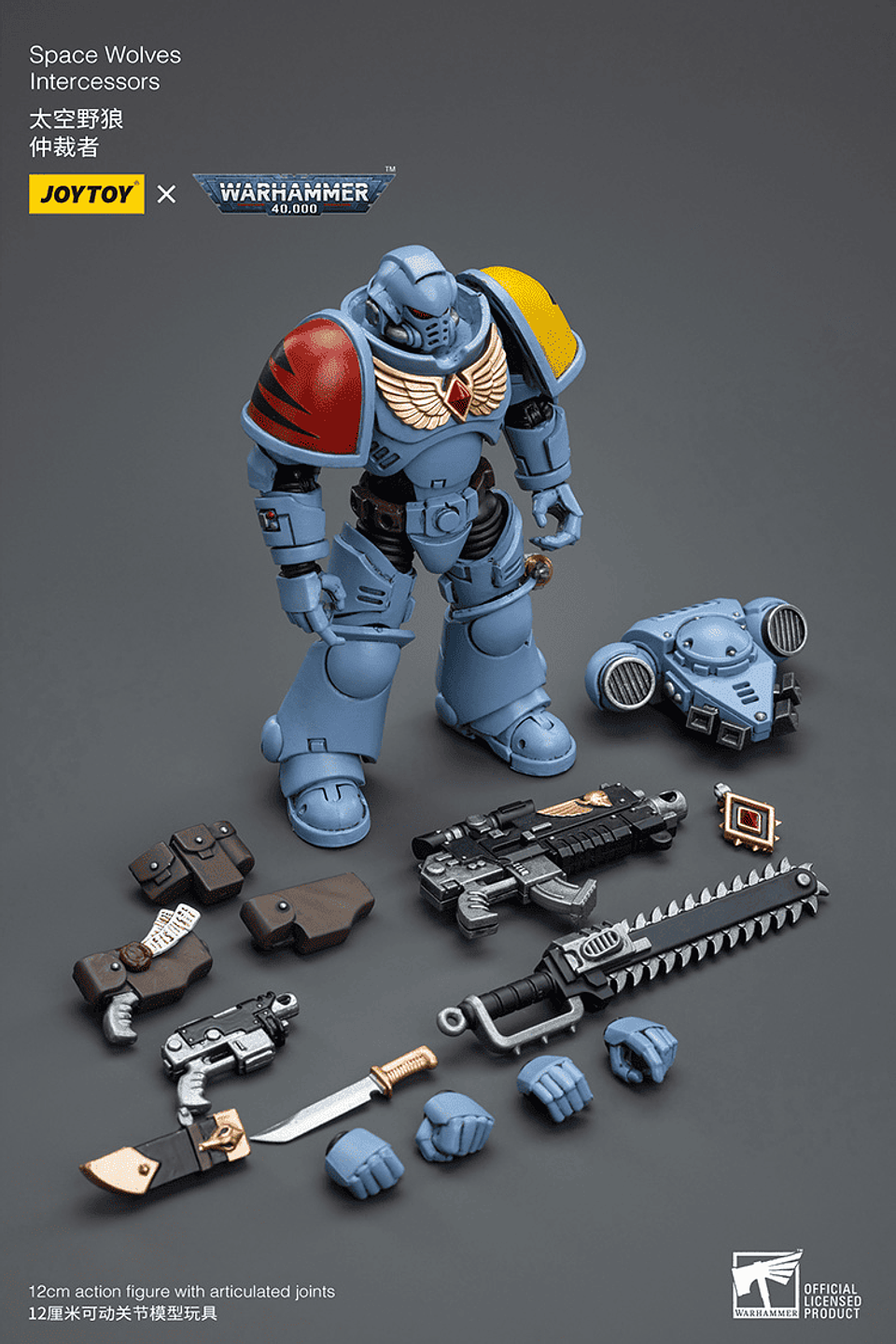 Space Wolves Intercessors 9