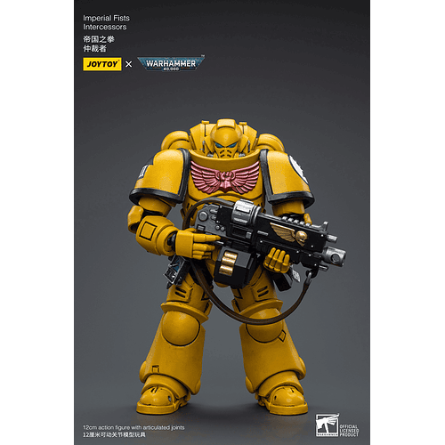 Imperial Fists Intercessors 2