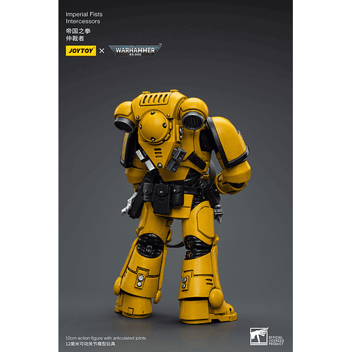 Imperial Fists Intercessors 3