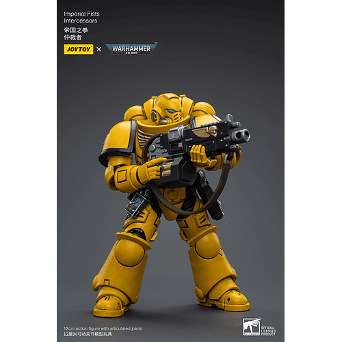 Imperial Fists Intercessors 5