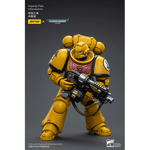 Imperial Fists Intercessors 6
