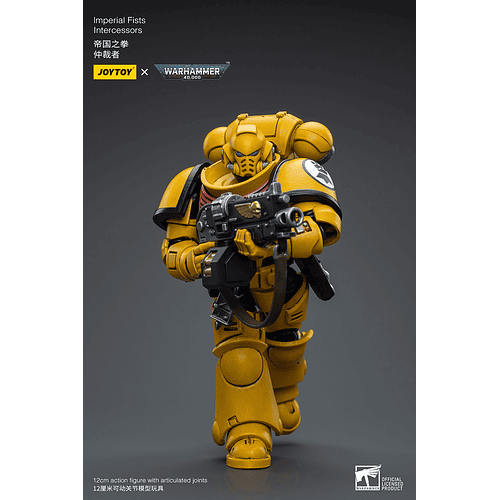 Imperial Fists Intercessors 7