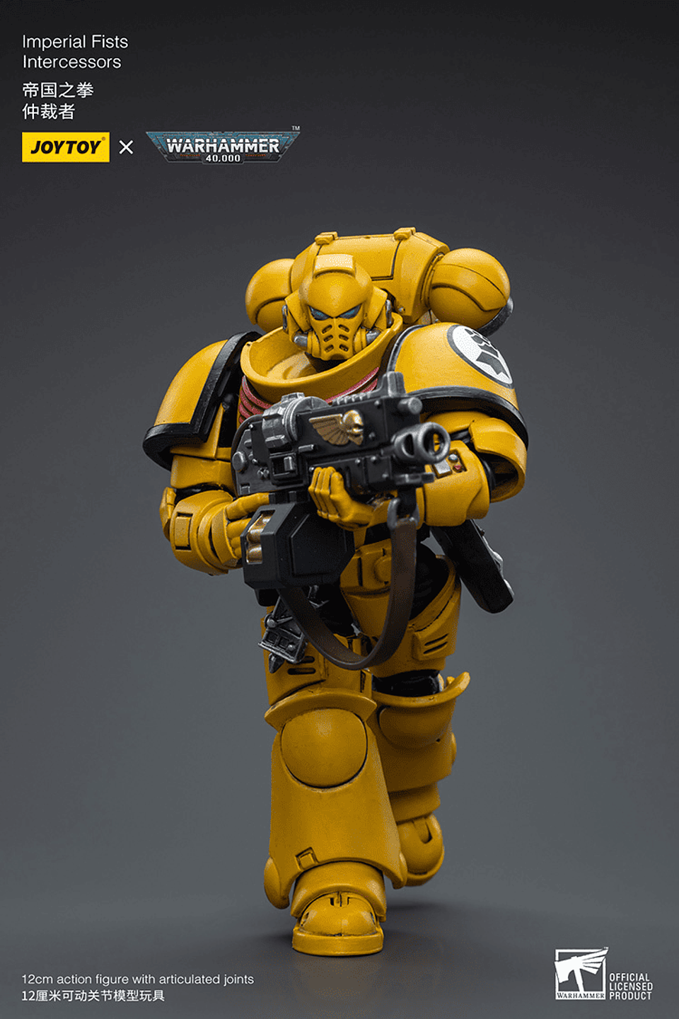 Imperial Fists Intercessors 7