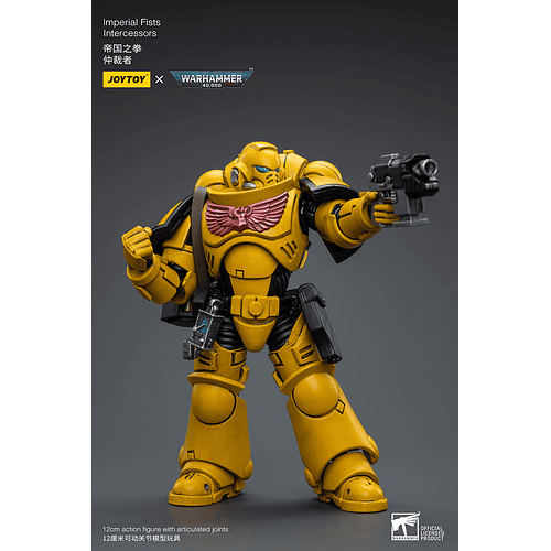 Imperial Fists Intercessors 8