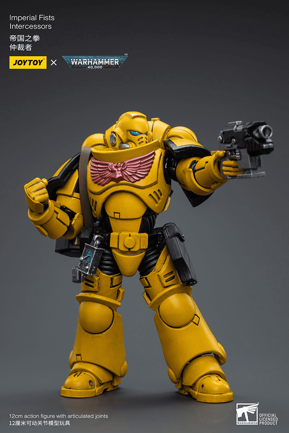 Imperial Fists Intercessors 8