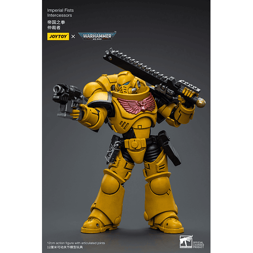 Imperial Fists Intercessors 10