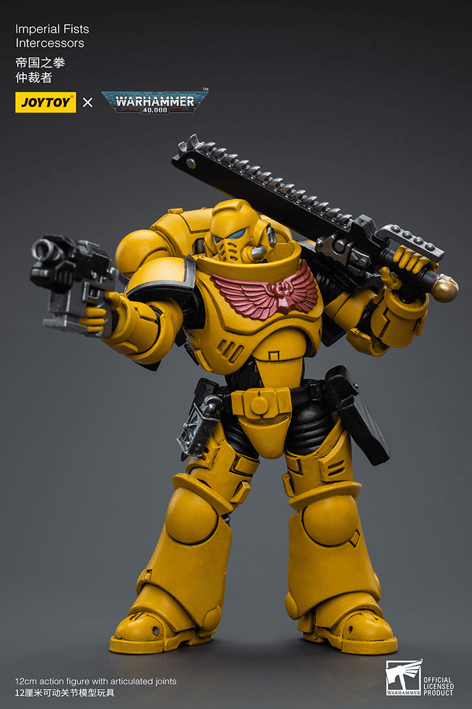 Imperial Fists Intercessors 10