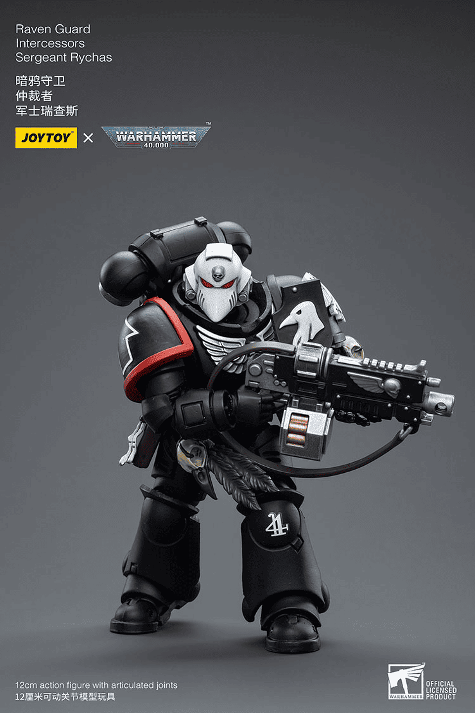 Raven Guard Intercesor Sargento Rychas 7