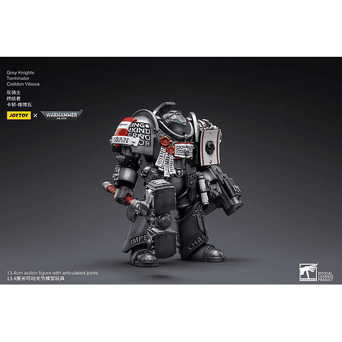 Grey Knights Terminator Caddon Vibova 6