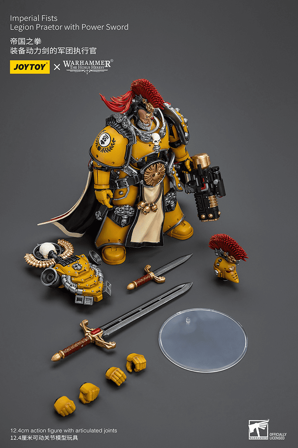 Imperial Fists Pretor con Espada de Energía 11