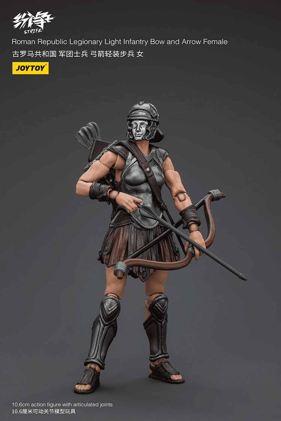 República Romana Escuadrón Legión X 8