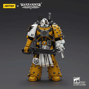 Imperial Fists Boticario de la Legión