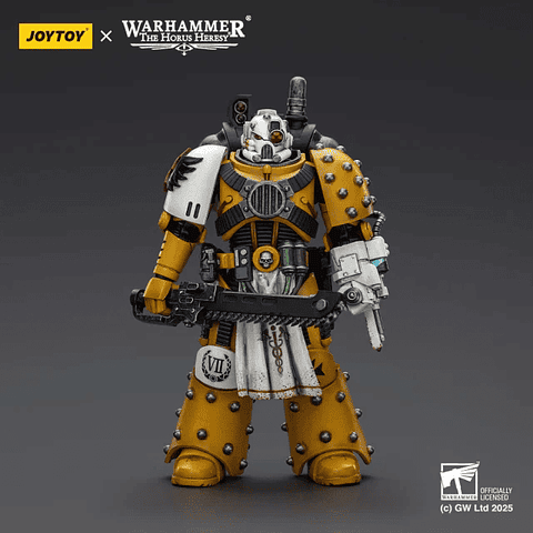 Imperial Fists Boticario de la Legión