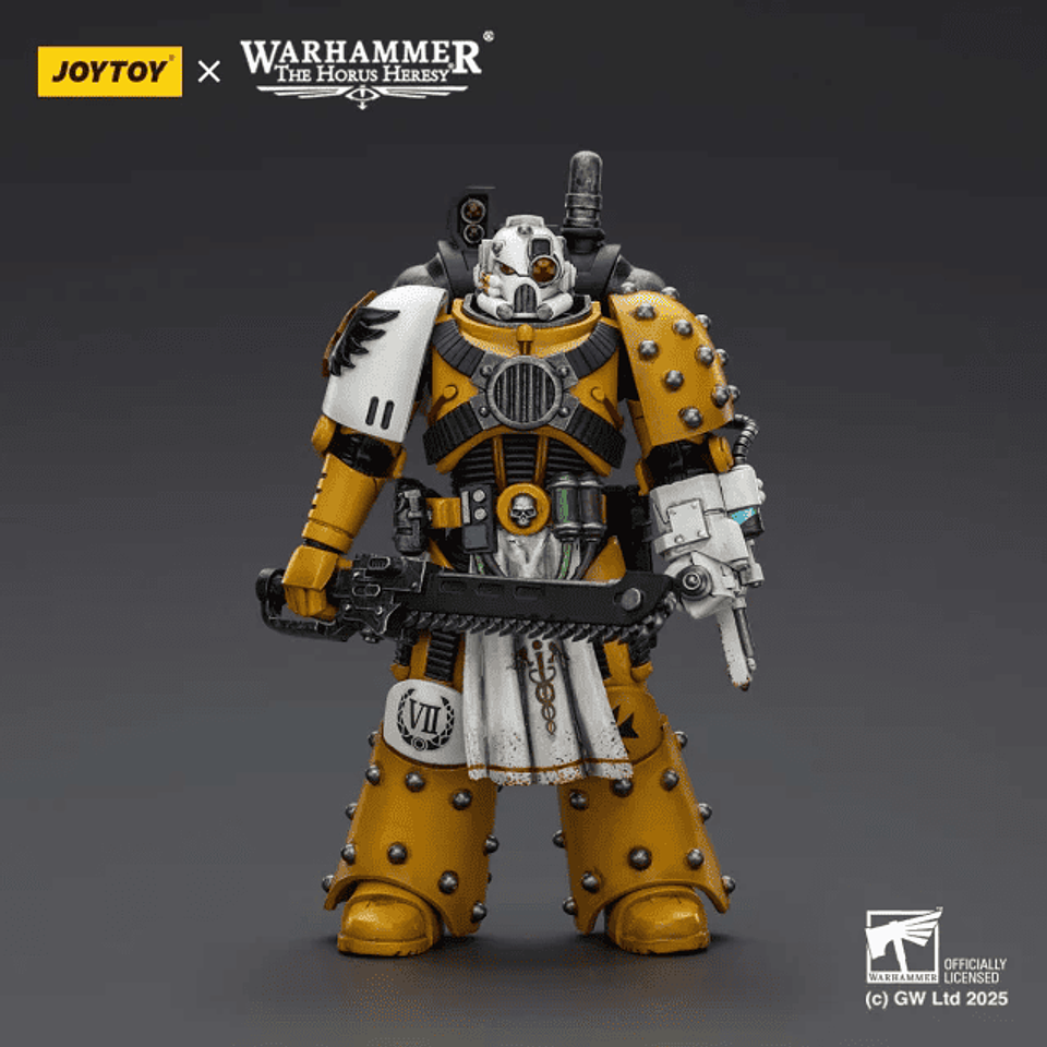 Imperial Fists Boticario de la Legión 1