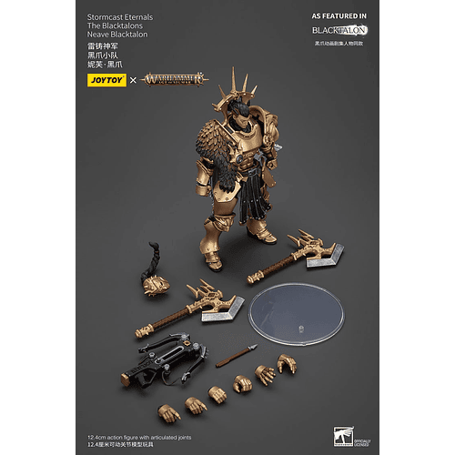 Stormcast Eternals Los Garras Negras 5