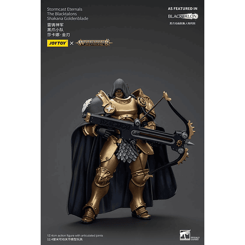 Stormcast Eternals Los Garras Negras 8