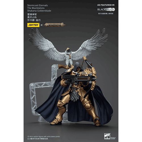 Stormcast Eternals Los Garras Negras 9