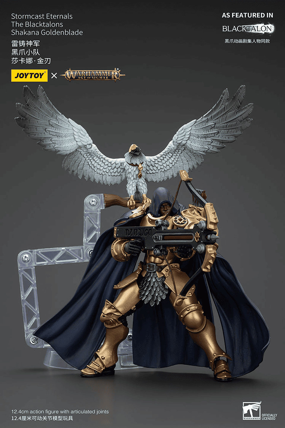 Stormcast Eternals Los Garras Negras 9