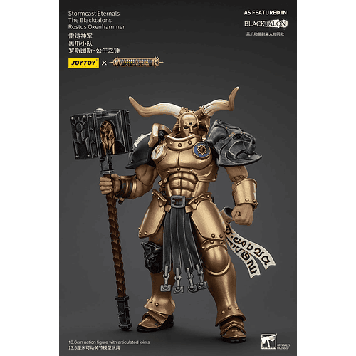 Stormcast Eternals Los Garras Negras 11