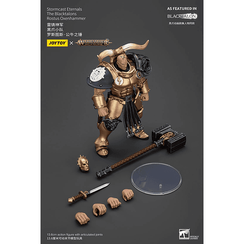 Stormcast Eternals Los Garras Negras 12