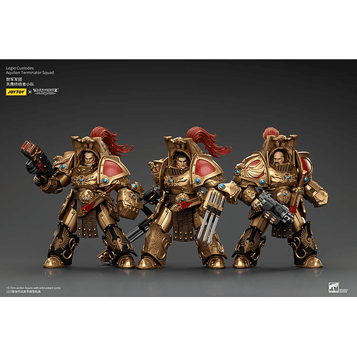 Legio Custodes Escuadrón de Exterminadores Aquilon 2