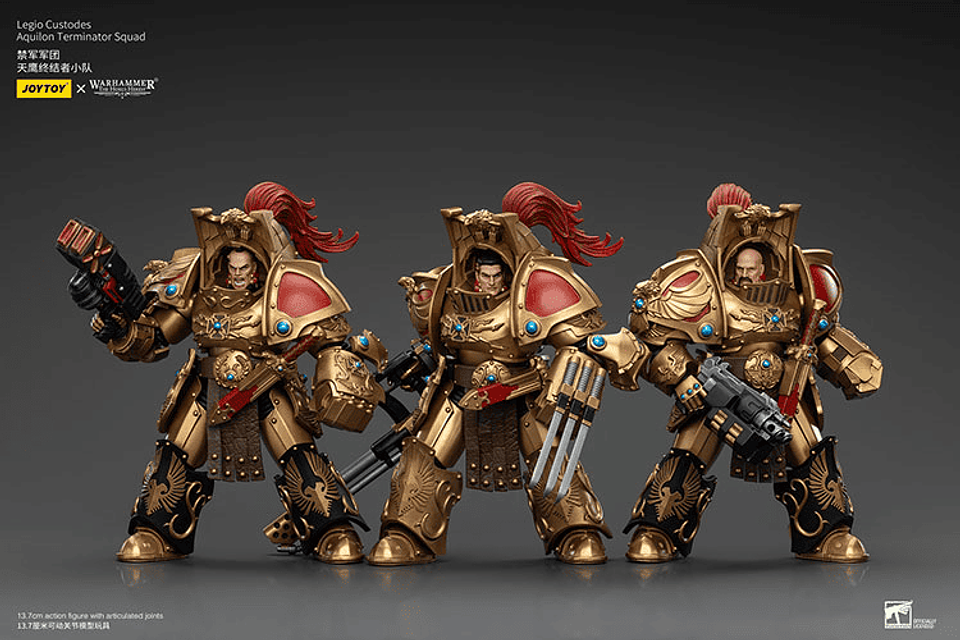 Legio Custodes Escuadrón de Exterminadores Aquilon 2