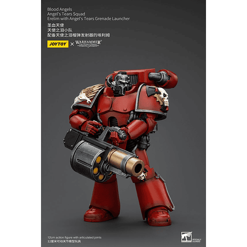 Blood Angels Escuadrón Lágrimas de Ángel 8