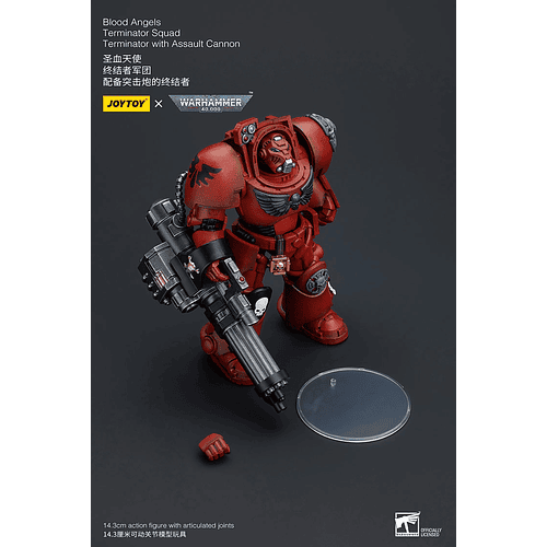 Blood Angels Escuadrón de Exterminadores  9