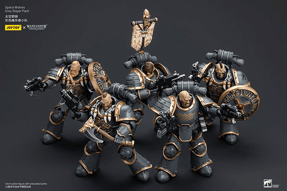 Space Wolves Pack de Cazadores Grises 5