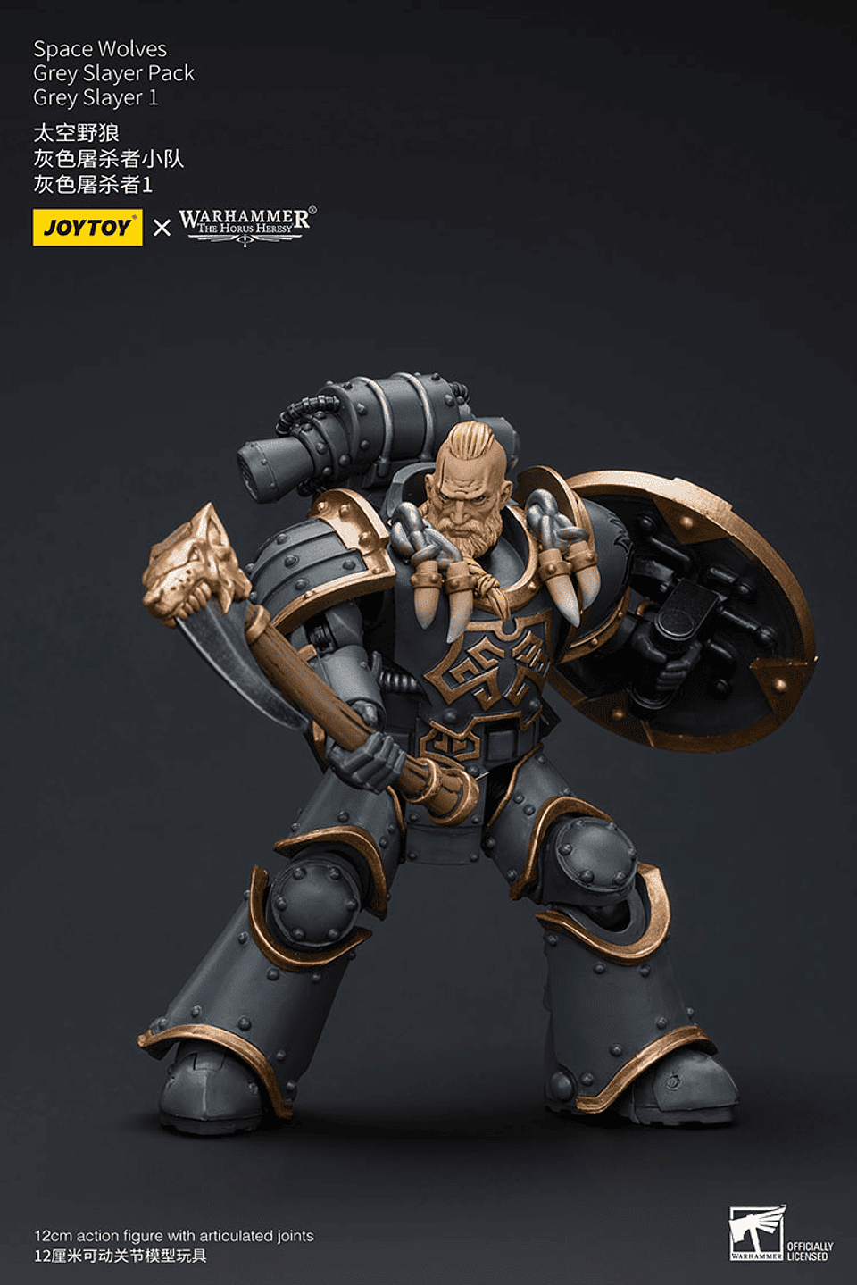 Space Wolves Pack de Cazadores Grises 10