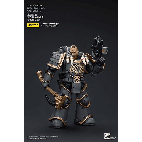 Space Wolves Pack de Cazadores Grises 12