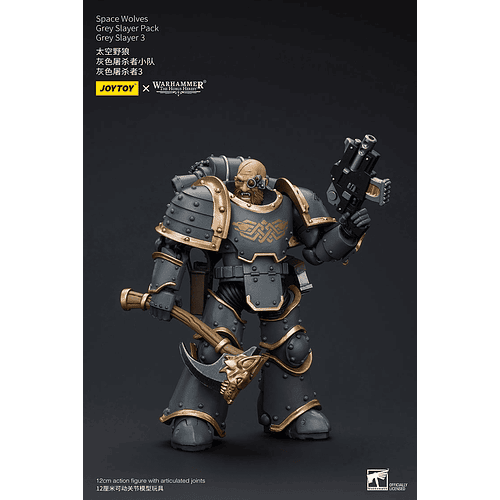 Space Wolves Pack de Cazadores Grises 14