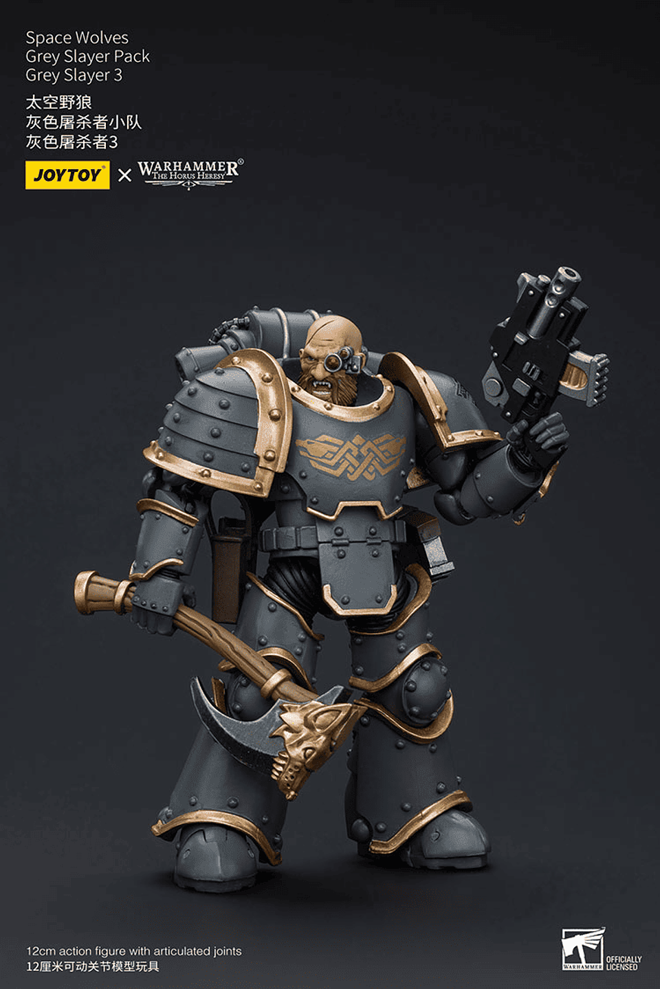 Space Wolves Pack de Cazadores Grises 14