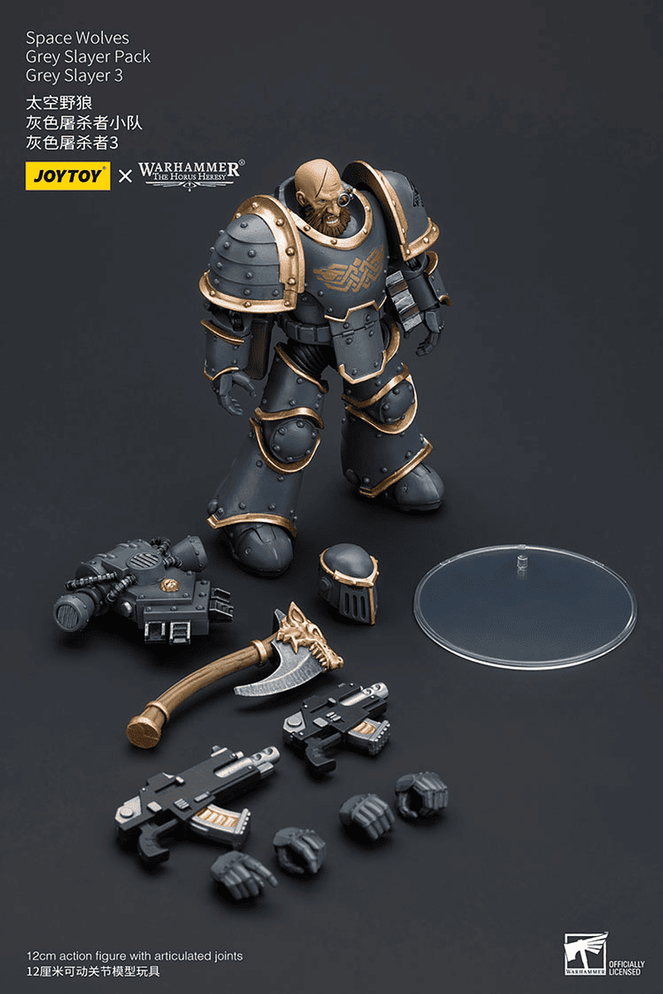 Space Wolves Pack de Cazadores Grises 15