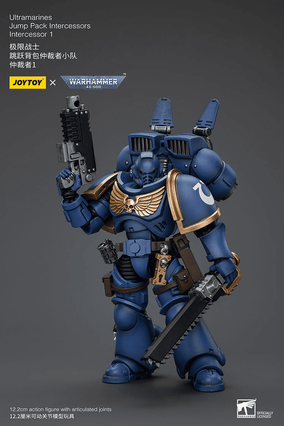 Ultramarines Escuadrón de Intercesores con Mochila de Salto 7