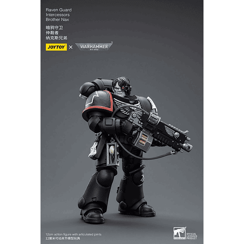 Raven Guard Intercesor Hermano Nax 3