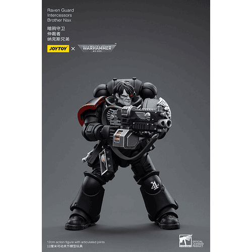 Raven Guard Intercesor Hermano Nax 5