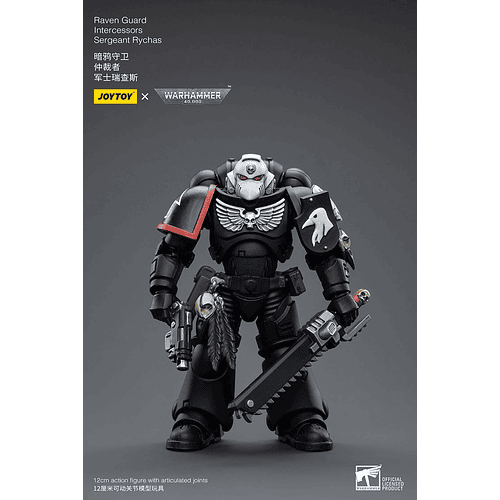 Raven Guard Intercesor Sargento Rychas 2