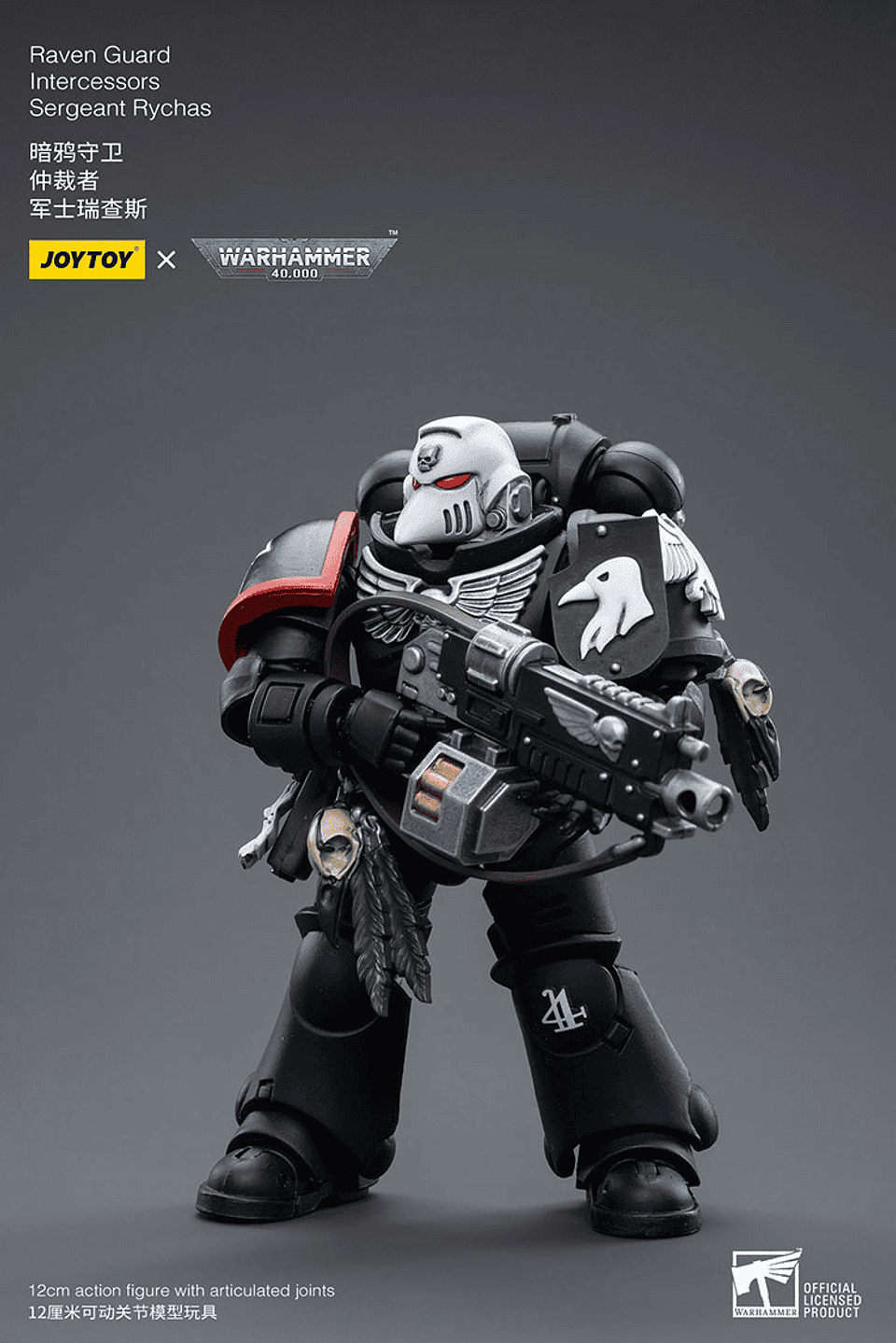 Raven Guard Intercesor Sargento Rychas 4