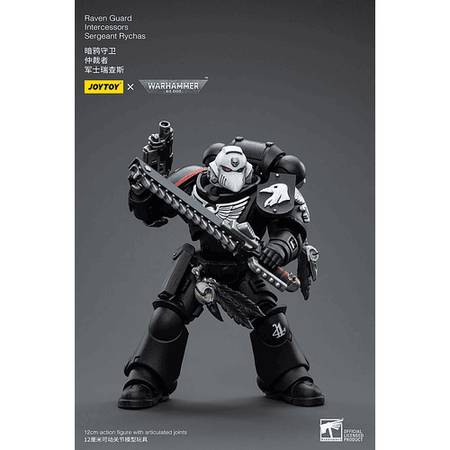 Raven Guard Intercesor Sargento Rychas 5