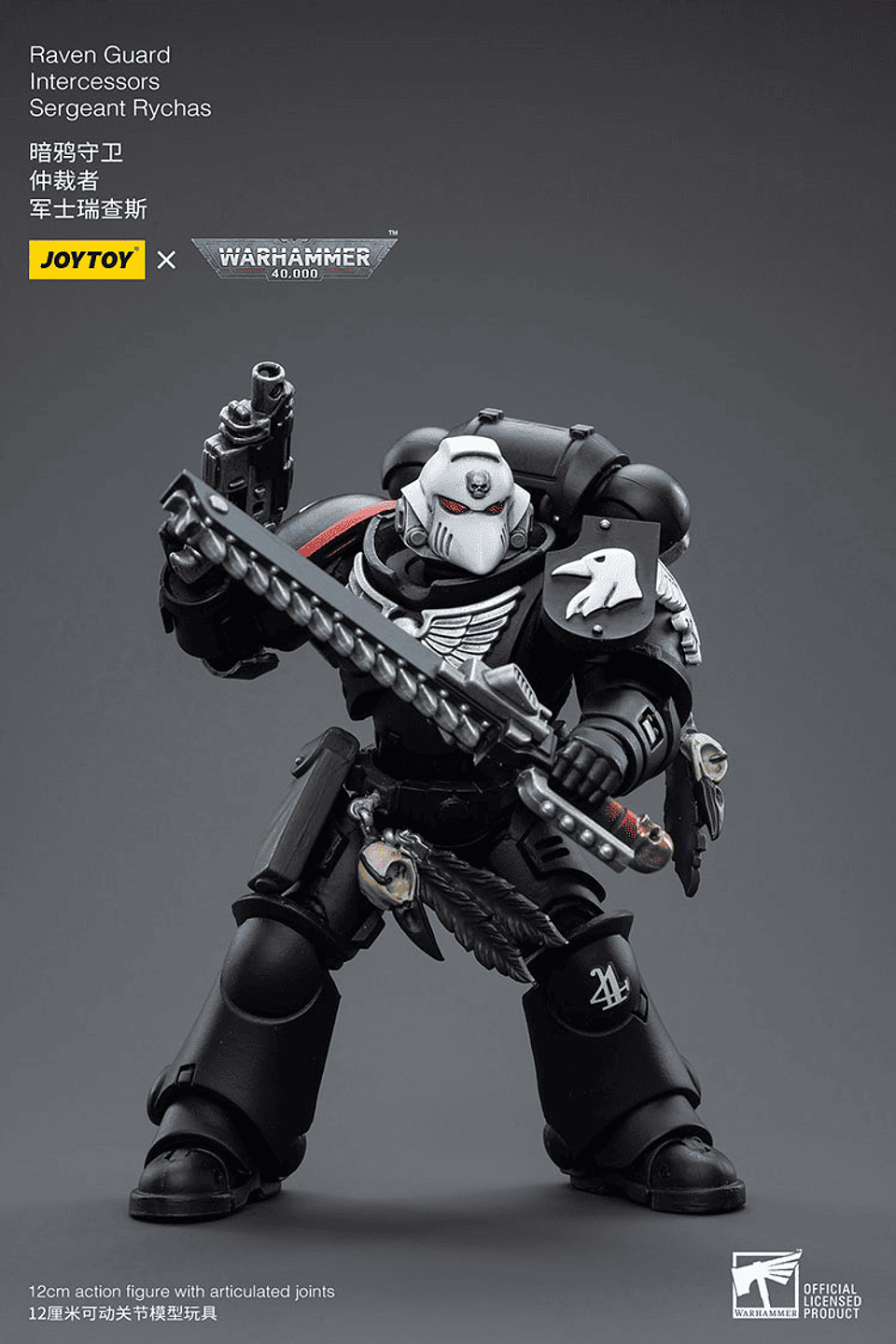 Raven Guard Intercesor Sargento Rychas 5