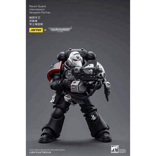 Raven Guard Intercesor Sargento Rychas 6
