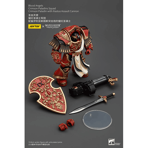 Blood Angels Escuadrón de Paladines Carmesí 5