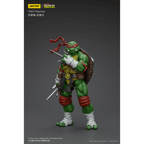 Tortugas Ninja Set 10