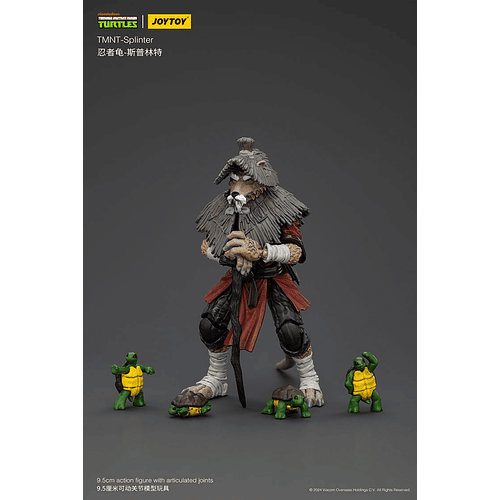 TMNT - Splinter 10