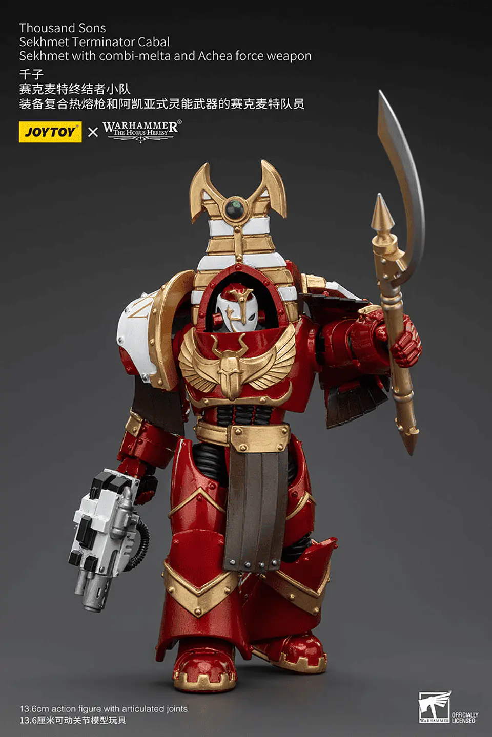 Thousand Sons Sekhmet Terminator Cabal  con combi-melta y arma fuerza Achea 5